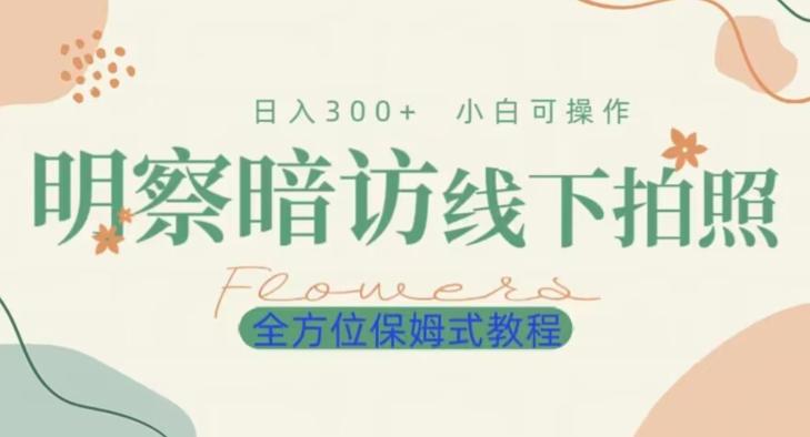 明拍暗拍项目0成本投入日入300+小白可操作保姆式全方位教程-云创智库