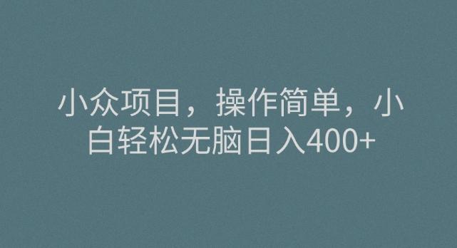 小众项目，操作简单，小白轻松无脑日入400+-云创智库