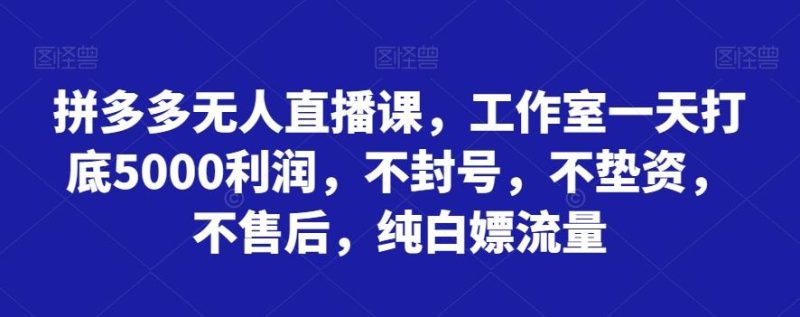 拼多多无人直播课，工作室一天打底5000利润，不封号，不垫资，不售后，纯白嫖流量-云创智库