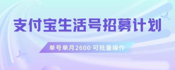 支付宝生活号作者招募计划，单号单月2600，可批量去做，工作室一人一个月轻松1w+【揭秘】-云创智库