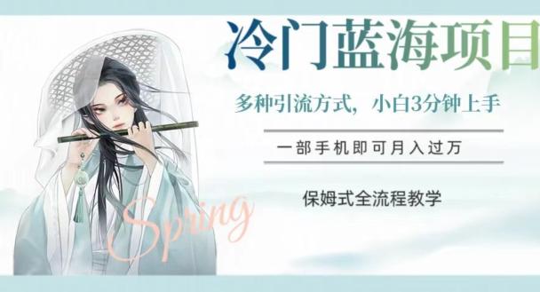 冷门蓝海项目，操作简单，小白3分钟上手，多种引流方式，保姆式全流程教学【揭秘】-云创智库