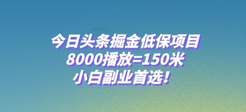 今日头条掘金低保项目，8000播放=150米，小白副业首选【揭秘】-云创智库