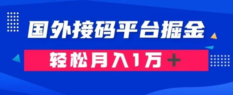 通过国外接码平台掘金：成本1.3，利润10＋，轻松月入1万＋【揭秘】-云创智库