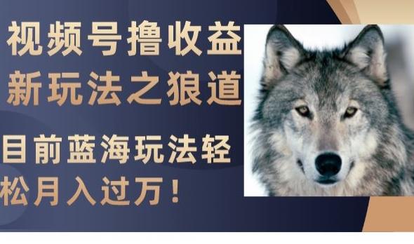 视频号撸收益新玩法之狼道，目前蓝海玩法，轻松月入过万【揭秘】-云创智库