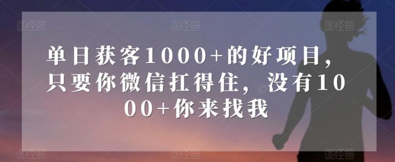 单日获客1000+的好项目，只要你微信扛得住，没有1000+你来找我【揭秘】-云创智库