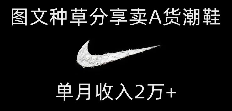 靠图文种草分享卖A货潮鞋，每天一小时，单月收入2万+【揭秘】-云创智库