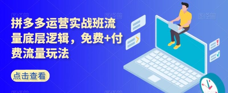 拼多多运营实战班流量底层逻辑，免费+付费流量玩法-云创智库