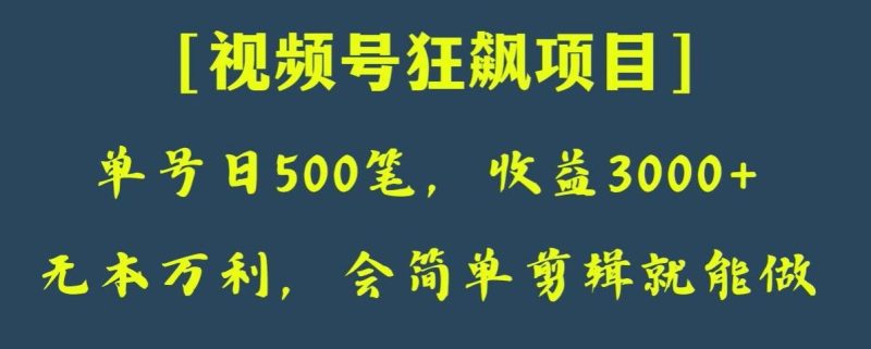 日收款500笔，纯利润3000+，视频号狂飙项目，会简单剪辑就能做【揭秘】-云创智库