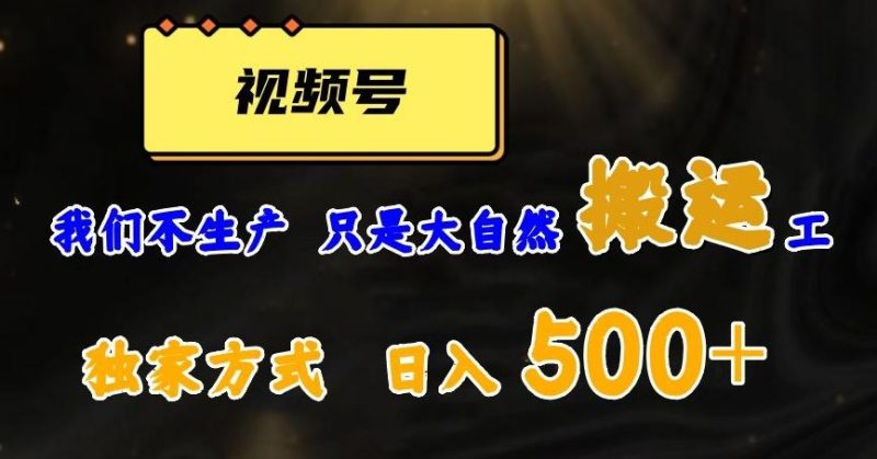 视频号轻松搬运日赚500+，一个1分钟1条原创视频【揭秘】-云创智库