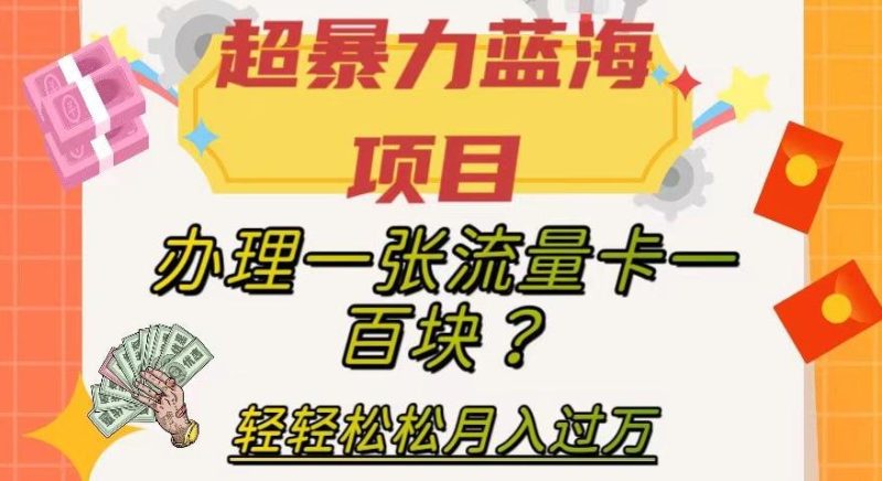 超暴力蓝海项目，办理一张流量卡一百块？轻轻松松月入过万，保姆级教程【揭秘】-云创智库