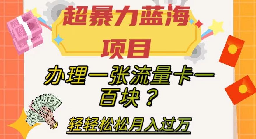 超暴力蓝海项目,办理一张流量卡一百块?轻轻松松月入过万,保姆级教程【揭秘】