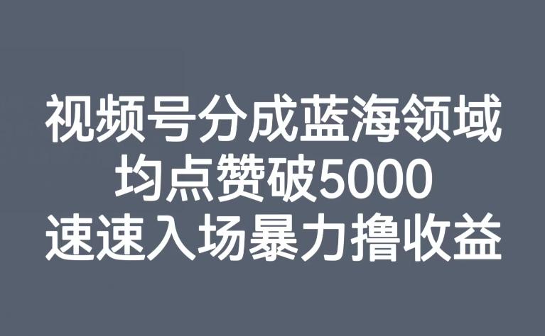 视频号分成蓝海领域，均点赞破5000，速速入场暴力撸收益-云创智库