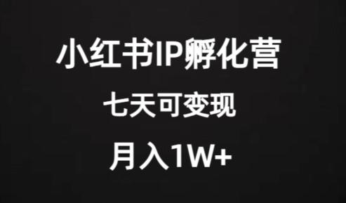 价值2000+的小红书IP孵化营项目，超级大蓝海，七天即可开始变现，稳定月入1W+-云创智库