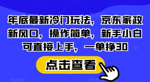 年底最新冷门玩法，京东家政新风口，操作简单，新手小白可直接上手，一单挣30【揭秘】-云创智库