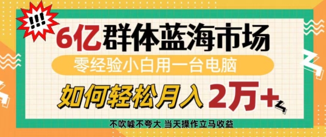 6亿群体蓝海市场，零经验小白用一台电脑，如何轻松月入过w【揭秘】-云创智库