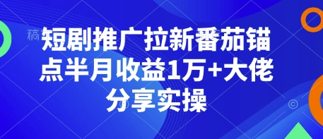 短剧推广拉新番茄锚点半月收益1万+大佬分享实操-云创智库
