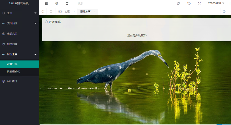 企业级程序 苏林加密系统内测发布 支持多种加密-云创智库