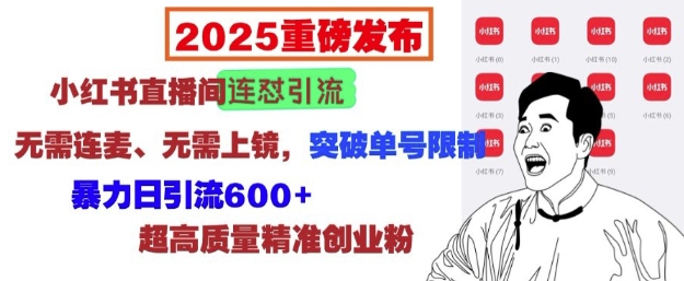 2025重磅发布：小红书直播间连怼引流，无需连麦、无需上镜，突破单号限制，暴力日引流600+-云创智库