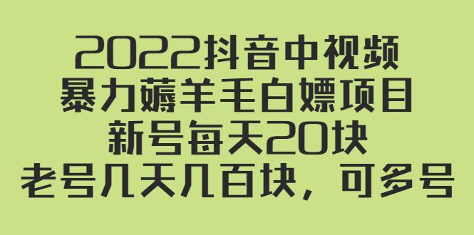 （2402期）2022抖音中视频暴力薅羊毛白嫖项目：新号每天20块，老号几天几百块，可多号-云创智库
