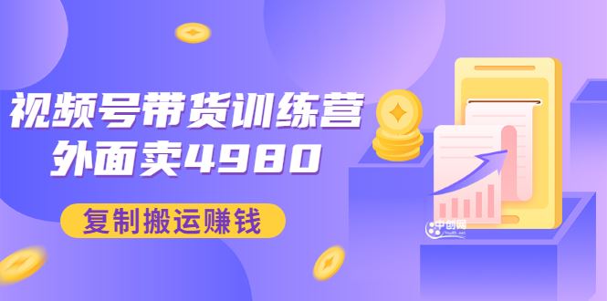 （2953期）外面卖4980【盗坤：视频号带货训练营】复制搬运赚钱（附电公商园文件）-云创智库