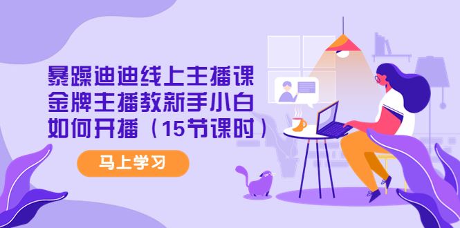 （4203期）暴躁迪迪线上主播课，金牌主播教新手小白如何开播（15节课时）-云创智库