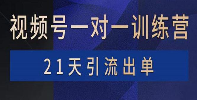 （3678期）视频号训练营：带货，涨粉，直播，游戏，四大变现新方向，21天引流出单-云创智库