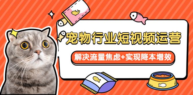 （5925期）宠物/行业短视频运营  流量增长的一层窗户纸  解决流量焦虑+实现降本增效-云创智库