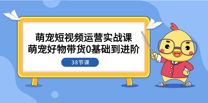 （7915期）萌宠·短视频运营实战课：萌宠好物带货0基础到进阶（38节课）-云创智库