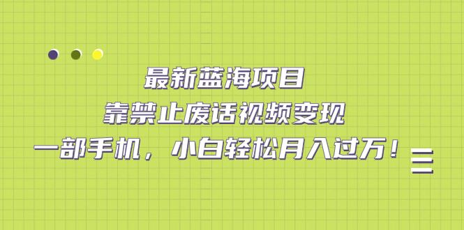 （7276期）最新蓝海项目，靠禁止废话视频变现，一部手机，小白轻松月入过万！-云创智库