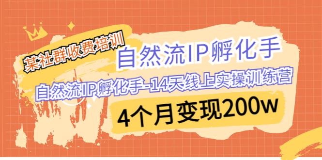 （6924期）某社群收费培训：自然流IP 孵化手-14天线上实操训练营 4个月变现200w-云创智库