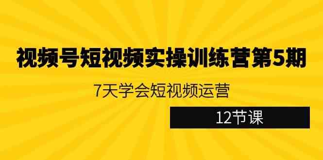 （9029期）视频号短视频实操训练营第5期：7天学会短视频运营（12节课）-云创智库