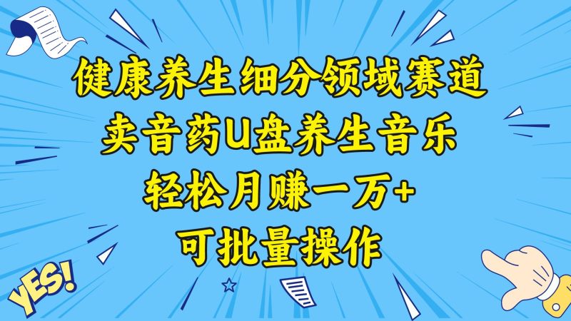 （8503期）健康养生细分领域赛道，卖音药U盘养生音乐，轻松月赚一万+，可批量操作-云创智库