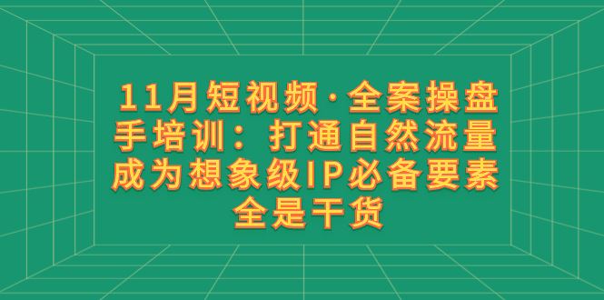 （8182期）11月短视频·全案操盘手培训：打通自然流量 成为想象级IP必备要素 全是干货-云创智库