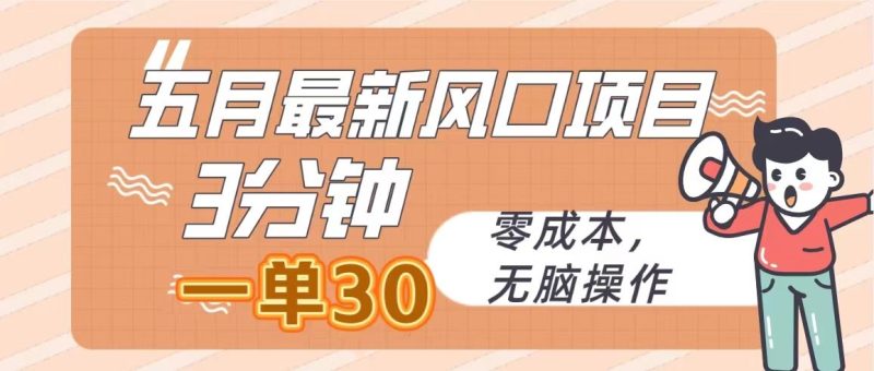 （10256期）五月最新风口项目，3分钟一单30，零成本，无脑操作-云创智库