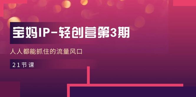 （11042期）宝妈IP-轻创营第3期，人人都能抓住的流量风口（21节课）-云创智库