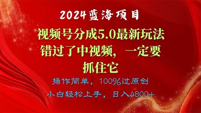 （11032期）2024蓝海项目，视频号分成计划5.0最新玩法，错过了中视频，一定要抓住…-云创智库