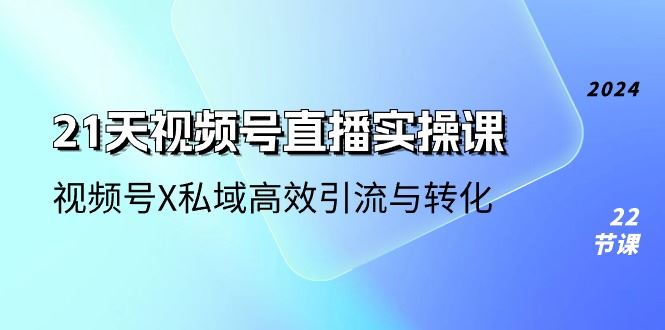 （10966期）21天-视频号直播实操课，视频号X私域高效引流与转化（22节课）-云创智库