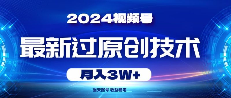 （10704期）2024视频号最新过原创技术，当天起号，收益稳定，月入3W+-云创智库