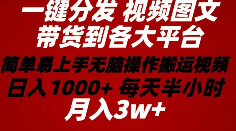 （10667期）2024年 一键分发带货图文视频  简单易上手 无脑赚收益 每天半小时日入1…-云创智库