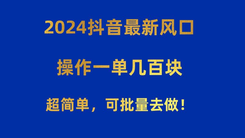 （10413期）2024抖音最新风口！操作一单几百块！超简单，可批量去做！！！-云创智库