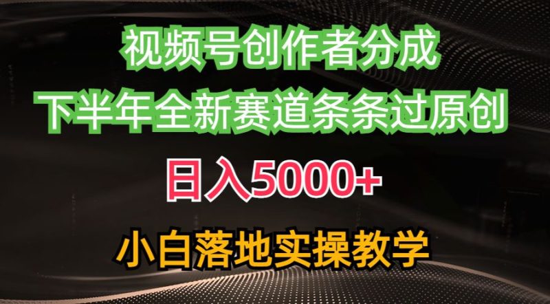 （10294期）视频号创作者分成最新玩法，日入5000+  下半年全新赛道条条过原创，小…-云创智库