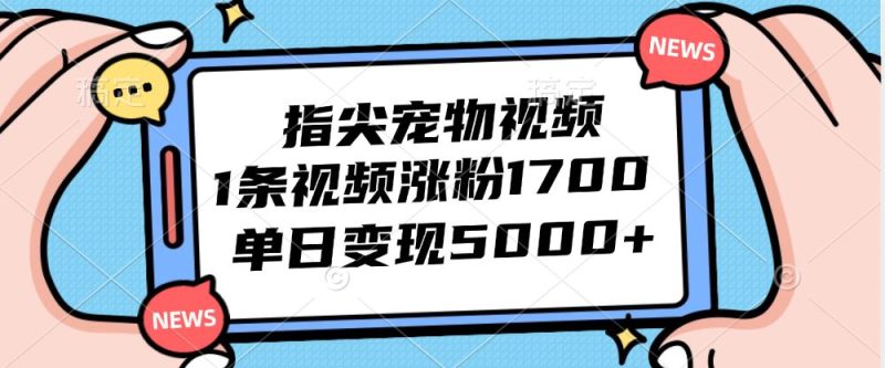 （12549期）指尖宠物视频，1条视频涨粉1700，单日变现5000+-云创智库