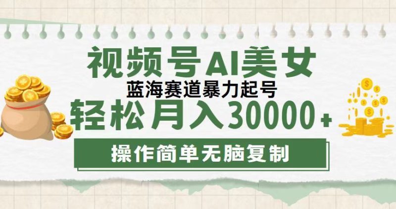（12087期）视频号AI美女跳舞，轻松月入30000+，蓝海赛道，流量池巨大，起号猛，无…-云创智库