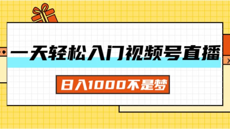 （11906期）一天入门视频号直播带货，日入1000不是梦-云创智库