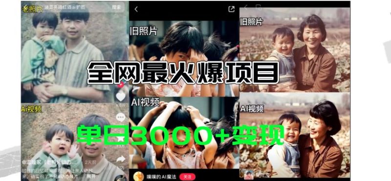 （11546期）全网爆火的AI让老照片动起来教程，蹭热点日赚3000+，内含免费工具一键…-云创智库