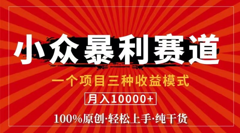 （11695期）视频号【中老年粉深信不疑】小众赛道 100%原创 手把手教学 新号3天收益…-云创智库