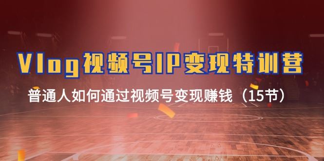 （11654期）Vlog 视频号IP变现特训营，普通人如何通过视频号变现赚钱（15节）-云创智库