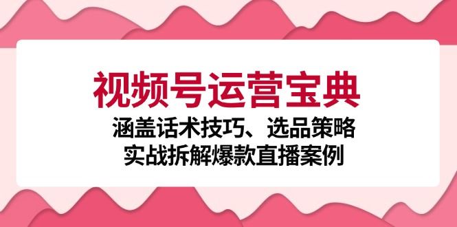（12808期）视频号运营宝典：涵盖话术技巧、选品策略、实战拆解爆款直播案例-云创智库