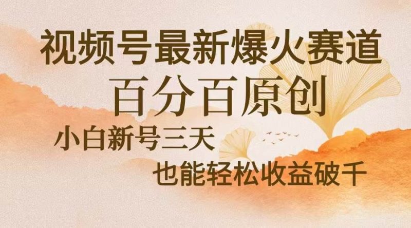 （13225期）视频号最新爆火赛道，中老年粉深信不疑，百分百原创，新号三天收益轻松…-云创智库