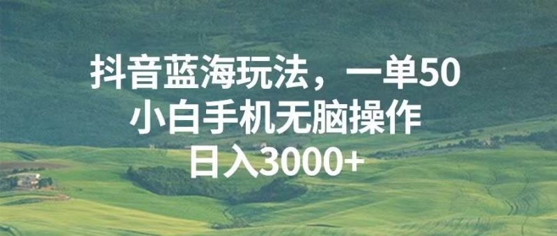 （13353期）抖音蓝海玩法，一单50，小白手机无脑操作，日入3000+-云创智库